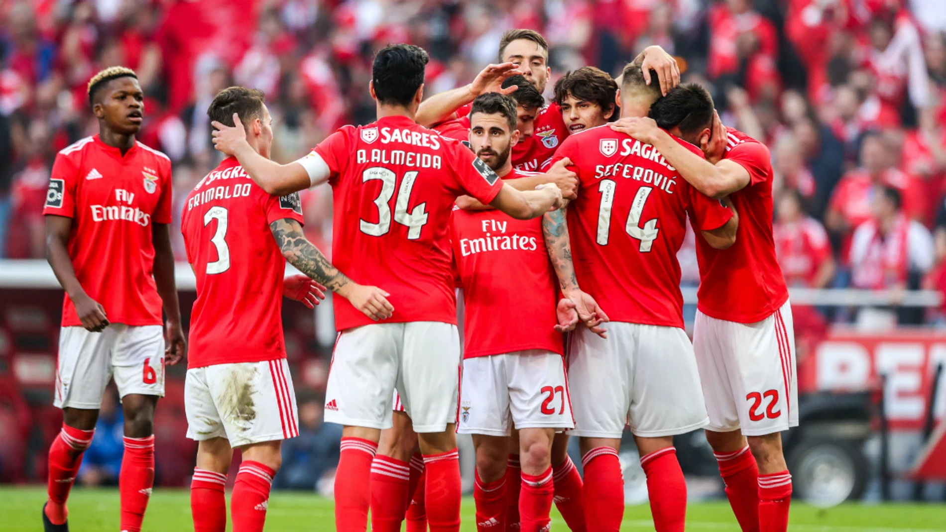 El Benfica, de celebración El Benfica, de celebración