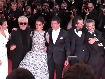 Ovación a Almodóvar en Cannes por su película 'Dolor y Gloria' Ovación a Almodóvar en Cannes por su película 'Dolor y Gloria'