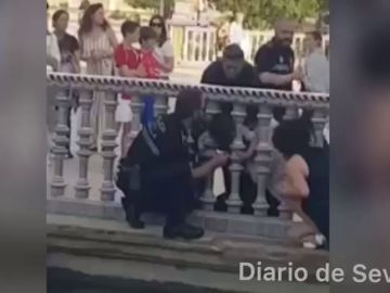 Rescatan a un ni&ntilde;o atrapado entre unos barrotes de estanque de Plaza Espa&ntilde;a de Sevilla