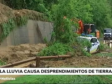 LLUVIA_NUEVA LLUVIA_NUEVA