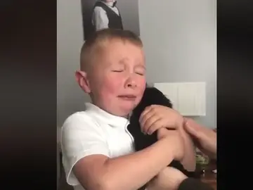 La reacción de un niño al recibir un perro La reacción de un niño al recibir un perro