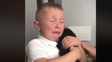 La reacción de un niño al recibir un perro