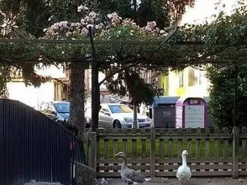 Parque de Ponferrada, León Parque de Ponferrada, León