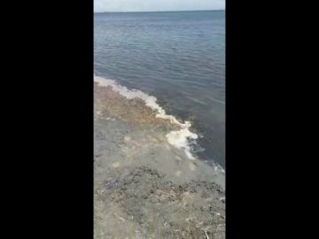 La denuncia de una vecina de Cartagena sobre el estado de sus playas: "'Espumica' y un lodazal, espectacular para bañarse este verano"