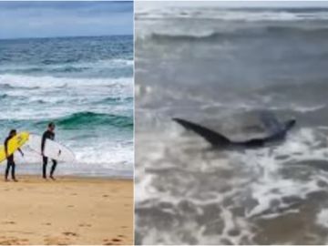 Imagen del tiburón aparecido en Las Landas