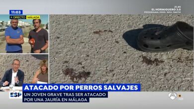 Un joven de 30 años, muy grave tras ser atacado por perros: 