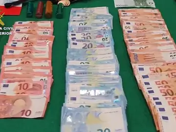 Detenidas siete personas por la compra y suministros de asta de gamos y ciervo Detenidas siete personas por la compra y suministros de asta de gamos y ciervo