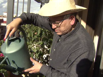 '¡Boom!' se traslada hasta Úbeda para celebrar los 100 programas de Alberto junto a 'Los Lobos' '¡Boom!' se traslada hasta Úbeda para celebrar los 100 programas de Alberto junto a 'Los Lobos'