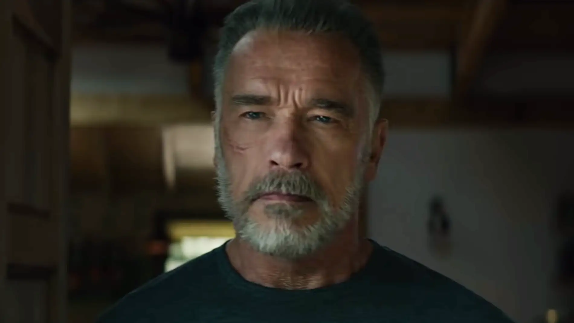 Arnold Schwarzenegger en 'Terminator: Destino oscuro'