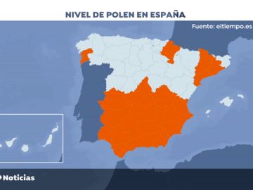  El polen inunda Espa&ntilde;a