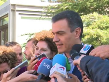 Pedro Sánchez pide participación, avance y estabilidad Pedro Sánchez pide participación, avance y estabilidad