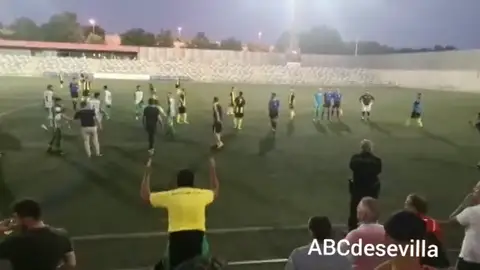 Pelea multitudinaria en un partido de fútbol en Alcalá de Guadaira Pelea multitudinaria en un partido de fútbol en Alcalá de Guadaira