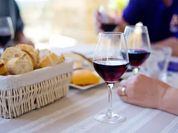 Vino Vino