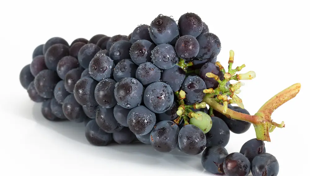 Uvas