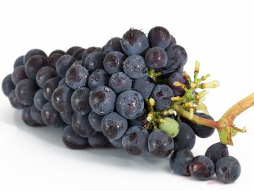 Uvas Uvas