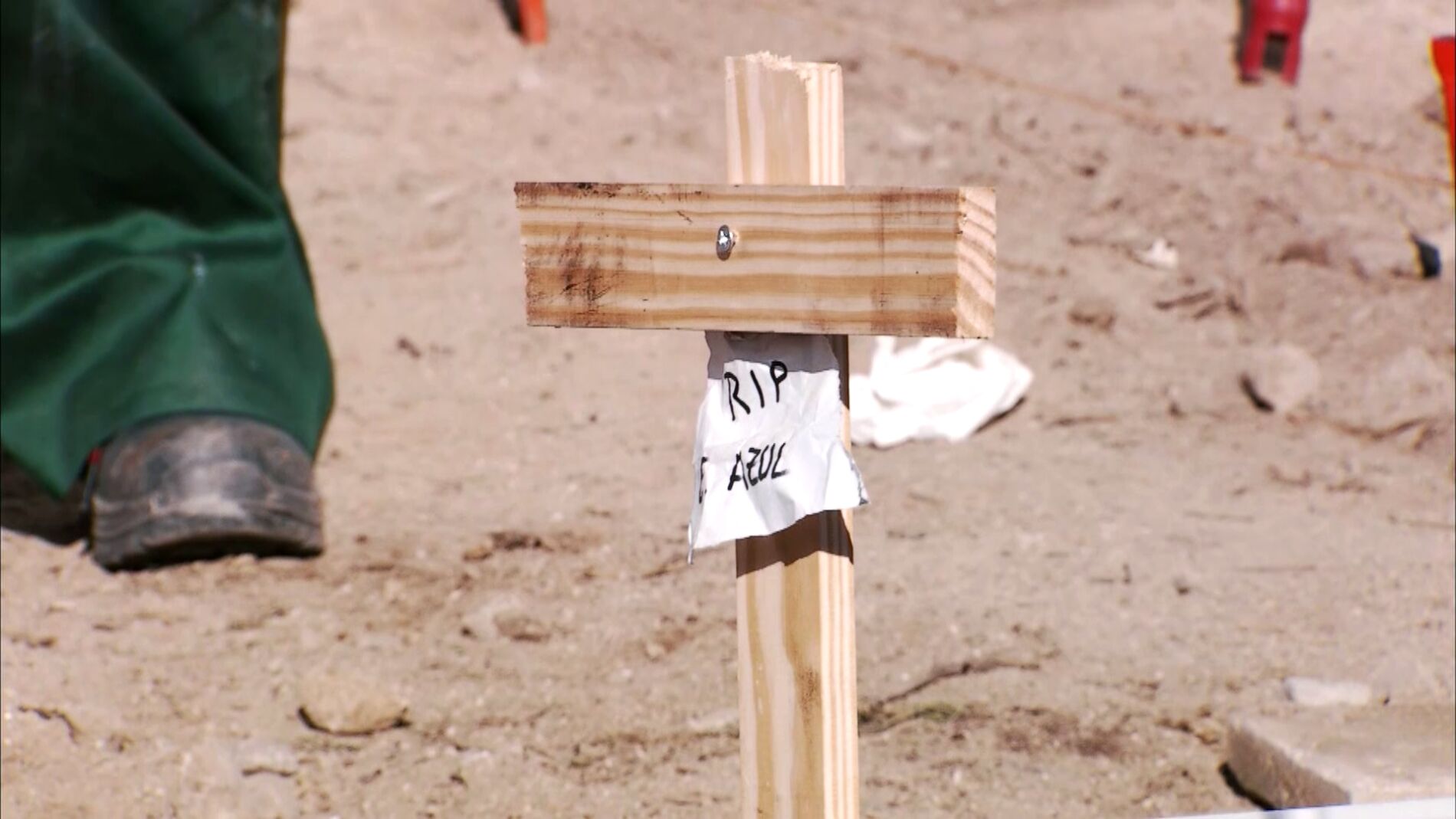 El golpe bajo del equipo verde para enterrar en vida a sus contrincantes 