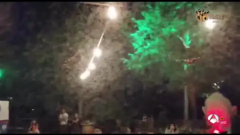 Plaga de mosquitos en Talavera de la Reina Plaga de mosquitos en Talavera de la Reina