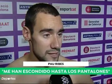 pausincornizada_a3d pausincornizada_a3d