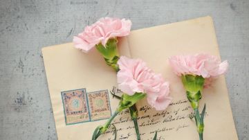 Carta