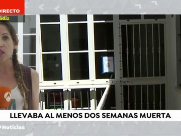 MUERTA SOLA TODO