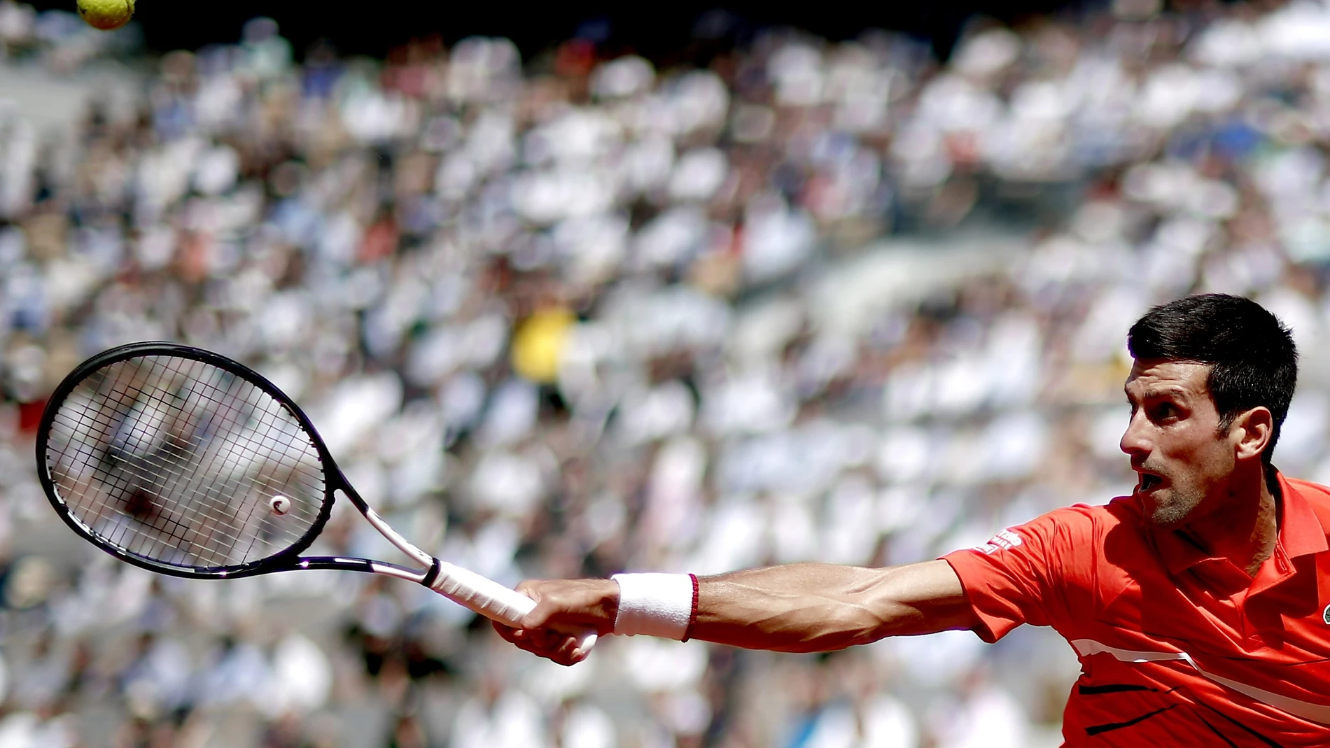 Djokovic en el partido contra Zverev Djokovic en el partido contra Zverev