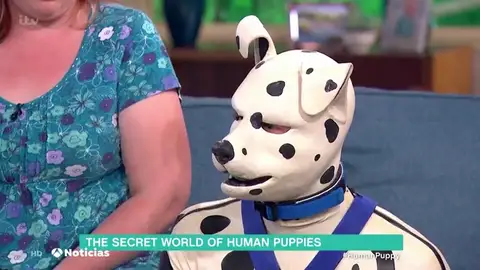 MR PUPPY MR PUPPY