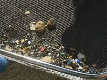 Casi 100 gramos de microplásticos por metro cuadrado en El Porís Casi 100 gramos de microplásticos por metro cuadrado en El Porís