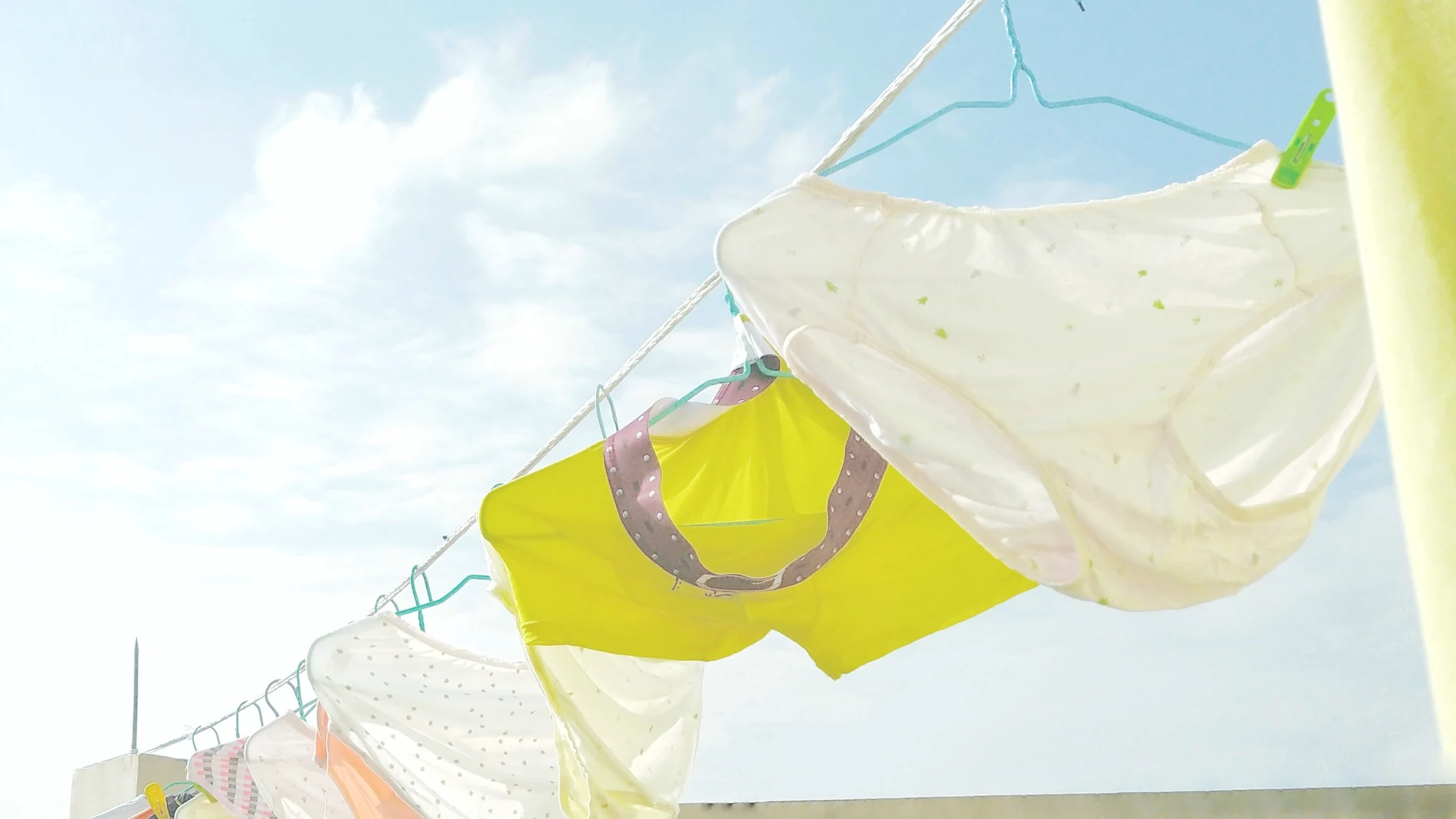 Ropa interior en un tendedero Ropa interior en un tendedero