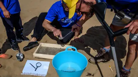 Limpian de plásticos la costa vizcaína en la Reserva de Urdaibai Limpian de plásticos la costa vizcaína en la Reserva de Urdaibai