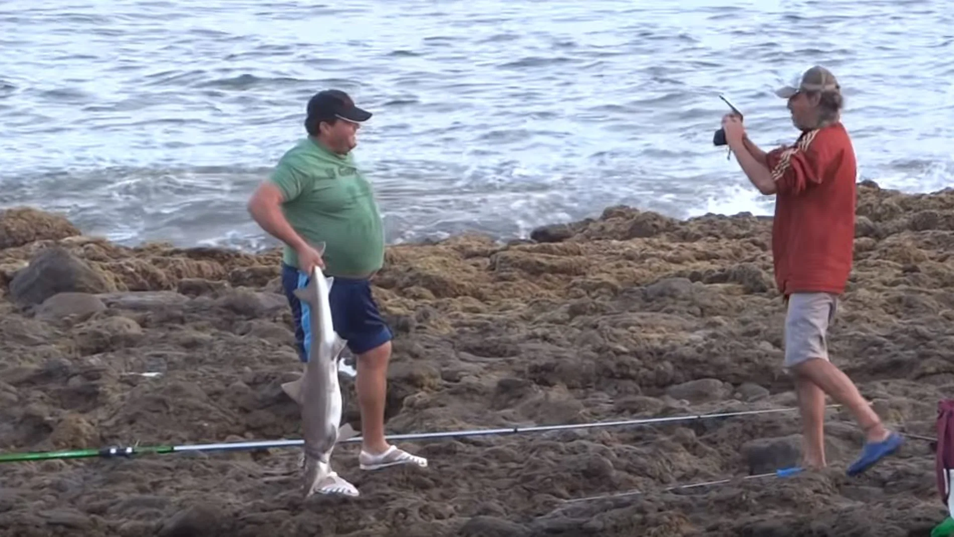 Dos personas pescando un tiburón angelote, el más amenazado del mundo Dos personas pescando un tiburón angelote, el más amenazado del mundo