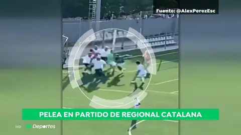 pelea_a3d pelea_a3d