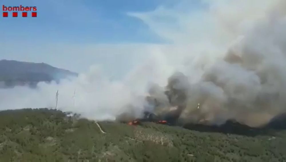  Un incendio quema más de 60 hectáreas en Perelló