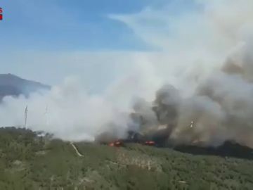  Un incendio quema más de 60 hectáreas en Perelló