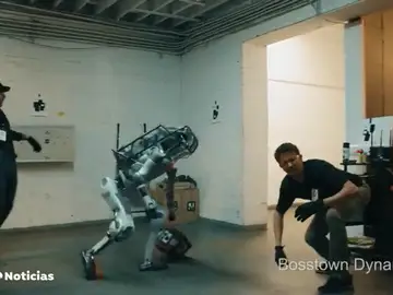 La Unión Europea discute la posibilidad de otorgar derechos legales a los robots La Unión Europea discute la posibilidad de otorgar derechos legales a los robots