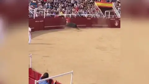 La cogida mortal a un torilero en la plaza de toros de Benavente desde otro punto de vista La cogida mortal a un torilero en la plaza de toros de Benavente desde otro punto de vista