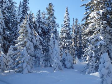 Siberia