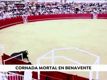 Un toro mata a un operario en la plaza de toros de Benavente Un toro mata a un operario en la plaza de toros de Benavente
