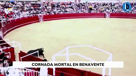 Un toro mata a un operario en la plaza de toros de Benavente Un toro mata a un operario en la plaza de toros de Benavente