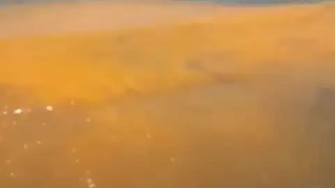 playa del Pedregalejo Málaga concentración de micro algas