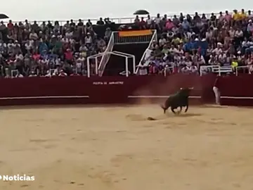 TORILERO TODO TORILERO TODO