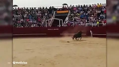 TORILERO TODO TORILERO TODO