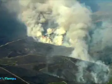 INCENDIOS INCENDIOS
