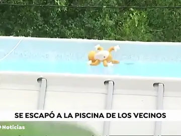 Muere una niña ahogada en una piscina particular en Nigrán Muere una niña ahogada en una piscina particular en Nigrán