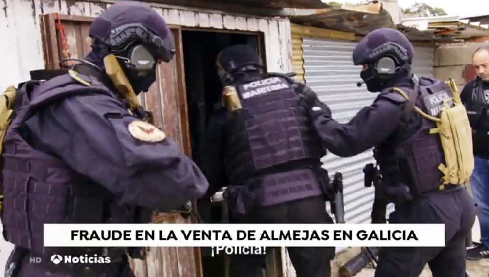 La Guardia Civil intercepta más de media tonelada de almejas ilegales en Galicia