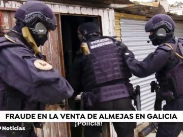 La Guardia Civil intercepta más de media tonelada de almejas ilegales en Galicia