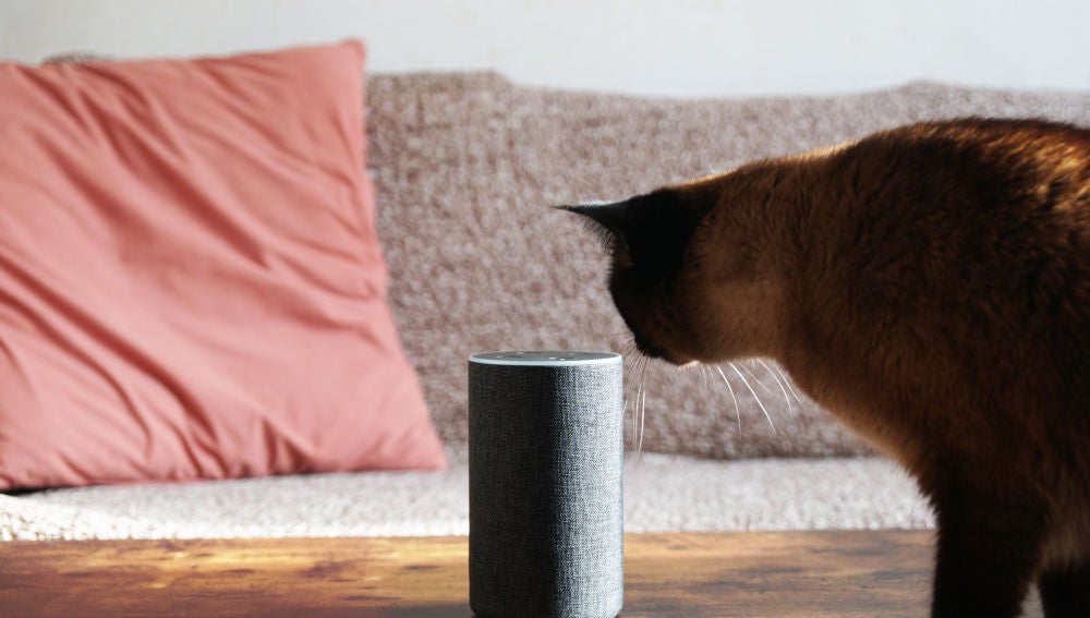 Amazon permitirá eliminar lo almacenado en Alexa, su asistente virtual.