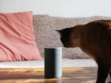 Amazon permitirá eliminar lo almacenado en Alexa, su asistente virtual. Amazon permitirá eliminar lo almacenado en Alexa, su asistente virtual.