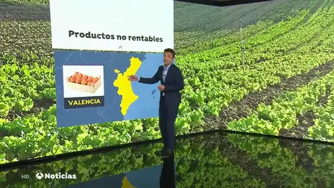 LECHUGAS TODO LECHUGAS TODO