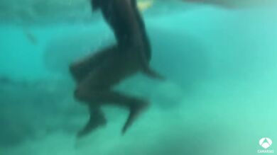 Nadando entre 50 tiburones