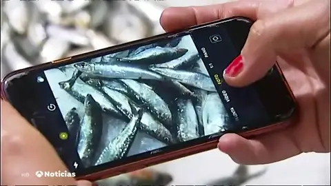 Las sardinas, las más demandadas para la noche de San Juan en A Coruña Las sardinas, las más demandadas para la noche de San Juan en A Coruña